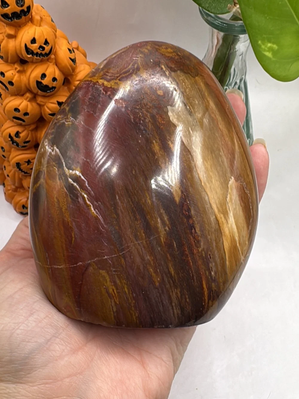 Large rainbow petrified wood free form